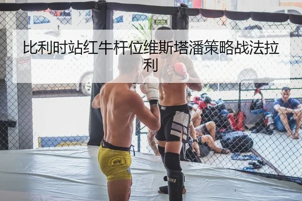 比利时站红牛杆位维斯塔潘策略战法拉利