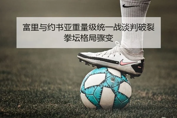 富里与约书亚重量级统一战谈判破裂 拳坛格局骤变